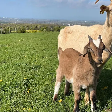 Kamp alanı Tente A La Ferme *